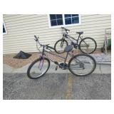 2 Adult Bicycles 2 Adult Bicycles
