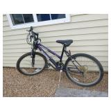 2 Adult Bicycles 2 Adult Bicycles
