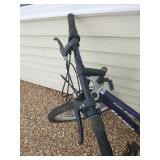 2 Adult Bicycles 2 Adult Bicycles