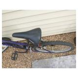 2 Adult Bicycles 2 Adult Bicycles