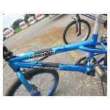 2 Youth Bicycles 2 Youth Bicycles