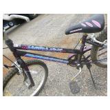 2 Youth Bicycles 2 Youth Bicycles