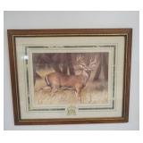 Deer Print, framed, matted