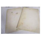 Thick Cutting Boards (2ct)