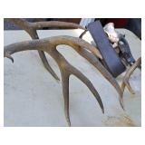 Lot of (2) Antlers | Assorted