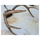 Antler