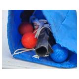 Double Ladderball Game