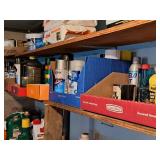 Shelf Lot - Tire Black, Brake Fluid, De-Icer, Small Engine Fuel Fix, Various Paints, Pruning Seal