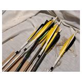 Lot of (8) Archery Arrows
