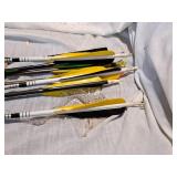 Lot of (8) Archery Arrows