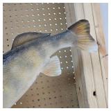 Very Nice Walleye Mount with a Pair Over 8lbs