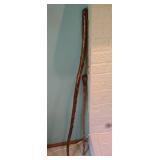 Two Walking Sticks Two Walking Sticks