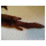 Vintage Five-Pelt Mink Stole Scarf by Albrecht Vintage Five-Pelt Mink Stole Scarf by Albrecht