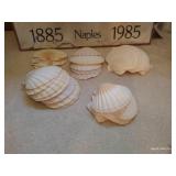 Beach Decor Lot- Artwork, Large Shells, Large Plastic Clam Shell Bowl Beach Decor Lot- Artwork, Large Shells, Large Plastic Clam Shell Bowl