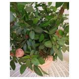 White Wicker Side Table w/ Pink Rose Arrangement White Wicker Side Table w/ Pink Rose Arrangement