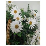 Large Daisy & Small Spring Lavender Arrangements Large Daisy & Small Spring Lavender Arrangements