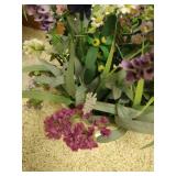 Large Daisy & Small Spring Lavender Arrangements Large Daisy & Small Spring Lavender Arrangements