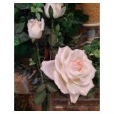 Silk Rose & Greenery Floral Arrangements Silk Rose & Greenery Floral Arrangements