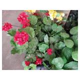 Large Floral Lot- Picks, Garland, Etc Large Floral Lot- Picks, Garland, Etc