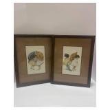 Two 1907 Framed Postcards