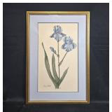 Framed Embroidered Iris Pallida Flower Artwork 17x25 Inch Framed Embroidered Iris Pallida Flower Artwork 17x25 Inch