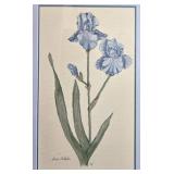 Framed Embroidered Iris Pallida Flower Artwork 17x25 Inch Framed Embroidered Iris Pallida Flower Artwork 17x25 Inch