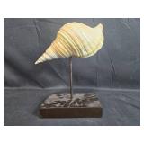 Decorative Conch Shell on Stand and Glass Vase Set