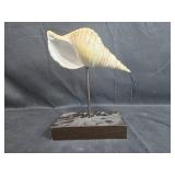 Decorative Conch Shell on Stand and Glass Vase Set