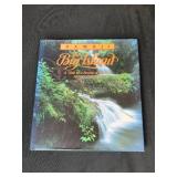 Hawaii The Big Island Book and Decorative Floral Arrangements Lot
