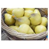 Ceramic Pears (6 cases and a basket)