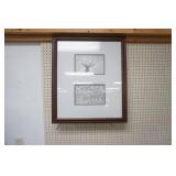 Whitetail Framed Print 23"x 27"