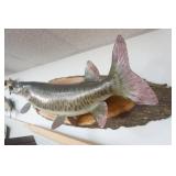 Muskie Mount 47" long
