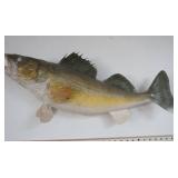 Walleye Mount 26" long