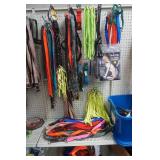 Pet Accessory Lot