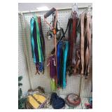 Pet Accessory Lot