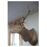 Elk Mount