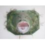Giant Grouper Fish Mount