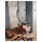 Large Beautiful Antique West German Coo-Coo Clock With Deer Hunting Theme