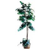 Beautiful Ficus Faux Indoor Tree