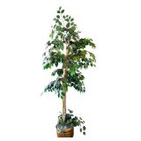 Beautiful Ficus Faux Indoor Tree