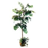 Beautiful Ficus Faux Indoor Tree
