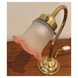 Beautiful Brass Gooseneck Lamp