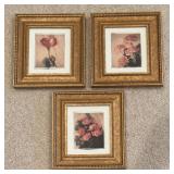 Trio of Fine Floral Prints