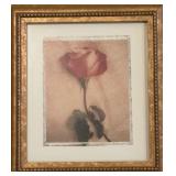 Trio of Fine Floral Prints