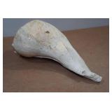 Large Conch Shell Large Conch Shell