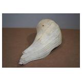 Large Conch Shell Large Conch Shell