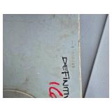 dynastar snowboard dynastar snowboard