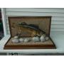 Walleye mount