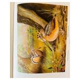 Bird Portraits in Color Book - 295 North American Birds Bird Portraits in Color Book - 295 North American Birds