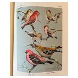 Bird Portraits in Color Book - 295 North American Birds Bird Portraits in Color Book - 295 North American Birds
